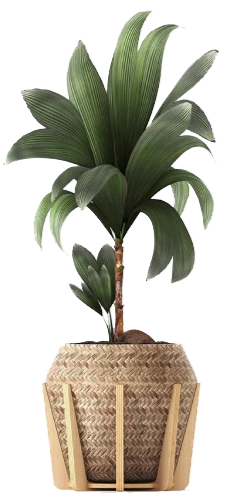 Buroservices Mobilier De Bureau Professionnel Au Sud Ouest 2 2 Buroservices Mobilier De Bureau Professionnel Au Sud Ouest 2 2